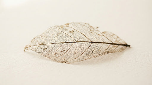 Botanical Purity